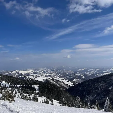 Woodside Apartment M Kopaonik Free Parking Exteriör bild