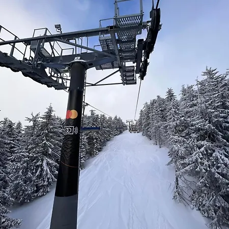 Woodside Apartment M Kopaonik Free Parking Exteriör bild