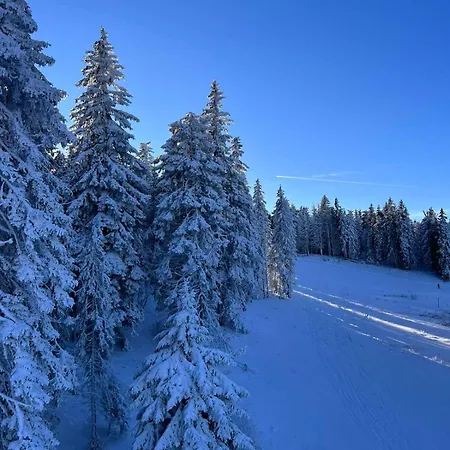 Woodside Apartment M Kopaonik Free Parking Exteriör bild