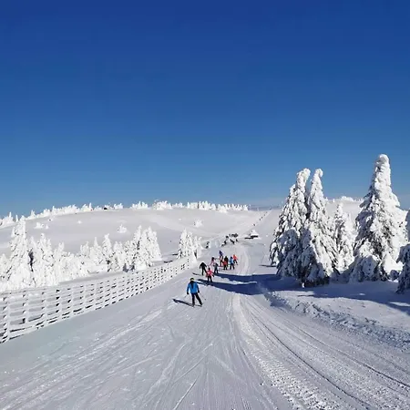 Woodside Apartment M Kopaonik Free Parking Exteriör bild